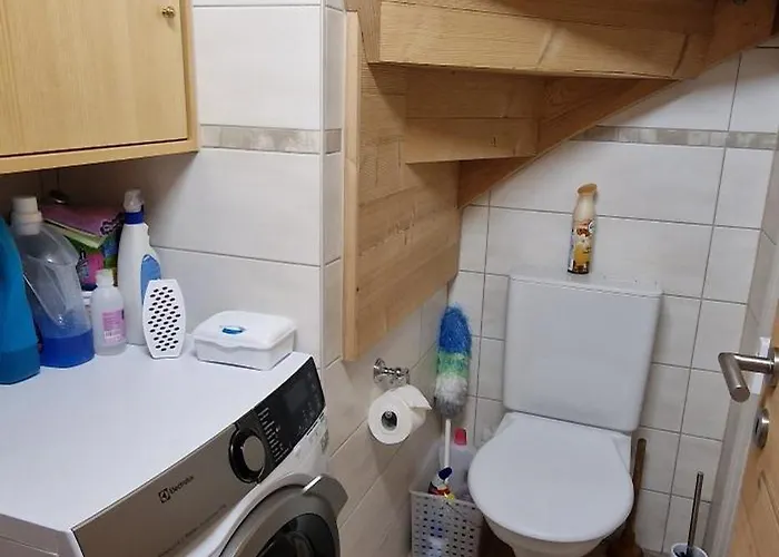 Bleuet K5 Champoussin